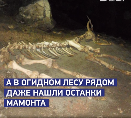 5 дивовижних фактів про козацьку горі на півночі Луганщини