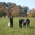 ​Археологічна розвідка у селі Капітанове Новоайдарського району 2